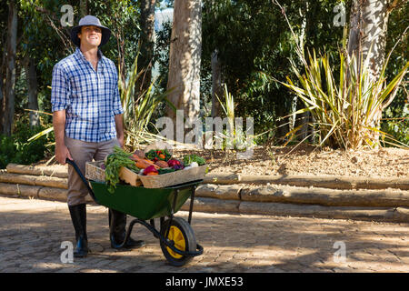 Portrait of happy farmer holding fresh vegetables in brouette Banque D'Images