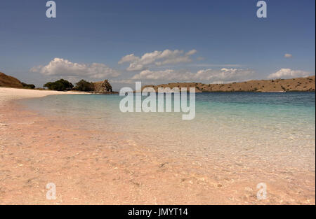 Plage de sable rose tropical à Flores causés par des pièces de couleur rose rouge corail dans l'océan pendant la journée. Banque D'Images