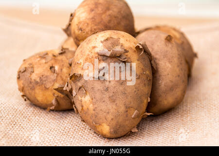 Sélection de nouvelle saison Pommes Jersey regroupés sur un fond de toile de jute prêts à être cuisinés pour un repas Banque D'Images