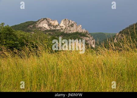 Seneca Rocks, West Virginia - le nord et le sud de Seneca Rocks pics, un célèbre rocher d'escalade dans la forêt nationale de Monongahela. Banque D'Images