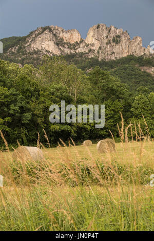 Seneca Rocks, West Virginia - le nord et le sud de Seneca Rocks pics au-dessus d'un champ de l'agriculteur. Seneca Rocks est un célèbre rocher d'escalade à Monong Banque D'Images