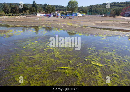 Le Lac de Bracciano, Italie. 29 juillet, 2017. Les algues sont de plus en plus rapidement, l'asphyxie la vie du lac, près de the strand Crédit : Rouge sur/Alamy Live News Banque D'Images