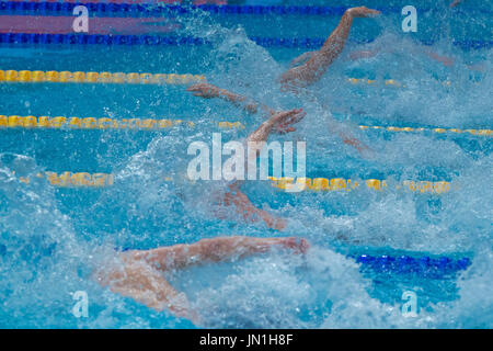 Budapest, Hongrie. 29 juillet, 2017. Le men's 50 mètres nage libre lors des Championnats du Monde de la FINA 2017 à Budapest, Hongrie, 29 juillet 2017. Photo : Jens Büttner/dpa-Zentralbild/dpa/Alamy Live News Banque D'Images