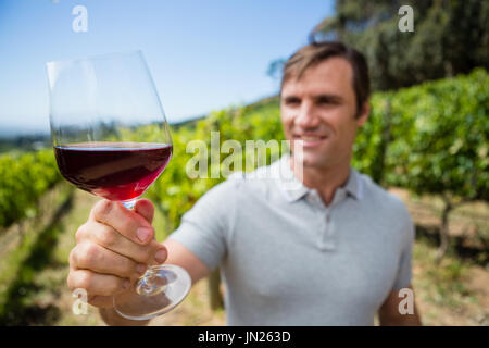 Smiling vigneron sur verre de vin dans la région de vineyard Banque D'Images