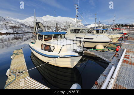 Les bateaux de pêche amarrés-ponton flottant-port de pêche-Sildspolltjonna bay. Baken-Kistbergtinden Glamen-Kvittinden.mts-Sautinden-Medmorratinden-sur le dos. Un Banque D'Images