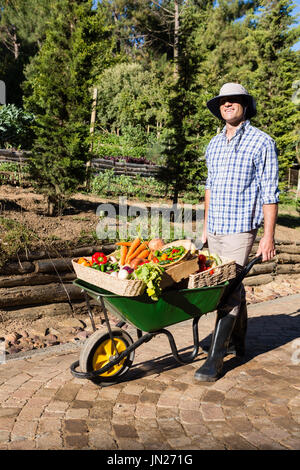 Portrait of happy farmer holding fresh vegetables in brouette Banque D'Images