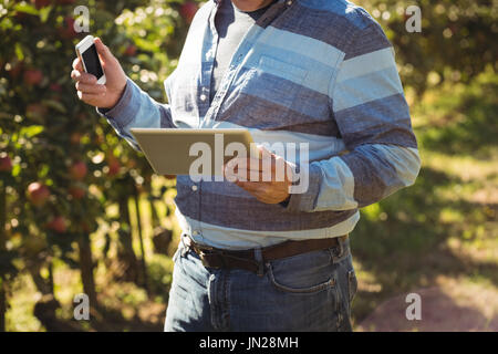Farmer using digital tablet while holding mobile phone in apple orchard Banque D'Images