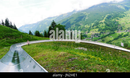 La luge Pfingstegg & First, Grindelwald, Oberland Bernois, région de la Junfrau , l'Eiger, Alpes suisses La Suisse Banque D'Images