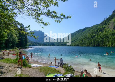 Lake Vorderer Langbathsee, baignade, Wenningstedt, Salzkammergut, Oberösterreich, Autriche, Autriche Banque D'Images