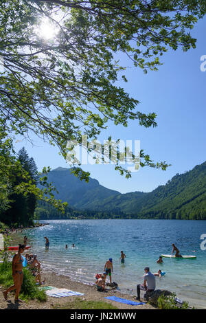 Lake Vorderer Langbathsee, baignade, Wenningstedt, Salzkammergut, Oberösterreich, Autriche, Autriche Banque D'Images