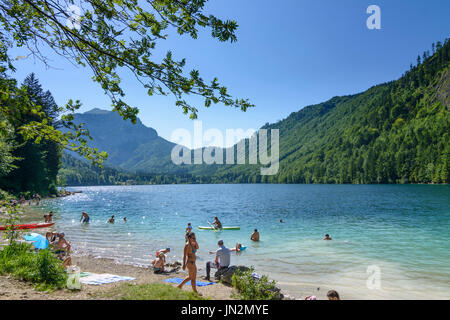 Lake Vorderer Langbathsee, baignade, Wenningstedt, Salzkammergut, Oberösterreich, Autriche, Autriche Banque D'Images