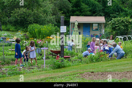 Enfants à Yarmouth Community Garden camp, Maine, États-Unis Banque D'Images