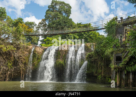 Mena Creek Falls, Parc de Paronella, près de Innisfail, Queensland, Australie Banque D'Images