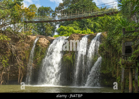 Mena Creek Falls, Parc de Paronella, près de Innisfail, Queensland, Australie Banque D'Images