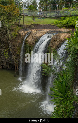 Mena Creek Falls, Parc de Paronella, près de Innisfail, Queensland, Australie Banque D'Images