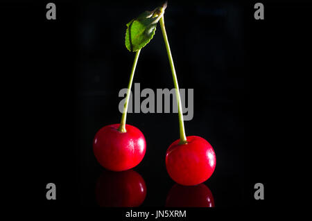 Cerises rouges sur fond noir isolé la nuit. deux cerises sur une branche verte Banque D'Images