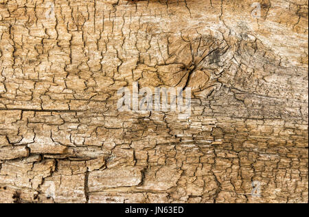 - Fond naturel vieille planche en bois fissuré close-up up Banque D'Images