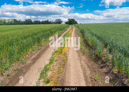 Route de terre entre les champs de blé encore verts près de la ville au centre de l'Ukraine Dnipro Banque D'Images