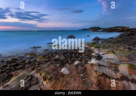 Still Life fine art de shell sur la plage Banque D'Images