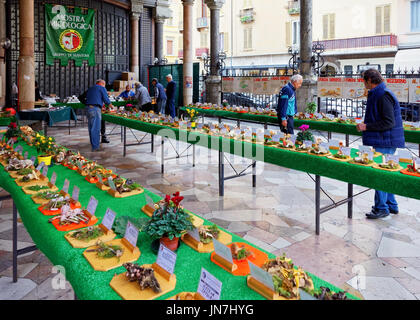 Mantoue, Italie - 22 octobre 2016 : exposition mycologique de champignons et les mycologues italien de Mantoue, Lombardie, Italie Banque D'Images