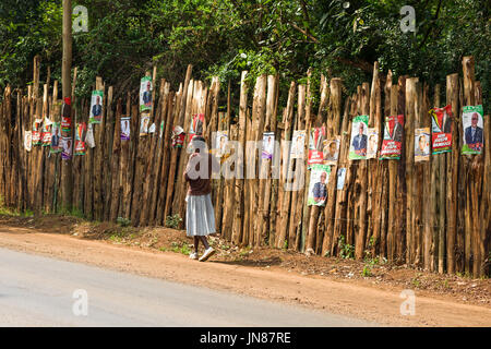 Igoogle de nombreuses affiches électorales des candidats sur le mur en bois par route, Nairobi, Kenya Banque D'Images