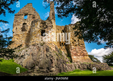 Vue encadrée d'arbres de hauts murs en pierre ruinés et ensoleillés du château médiéval de Dirleton du XIIIe siècle, East Lothian, Écosse, Royaume-Uni, avec ciel bleu Banque D'Images