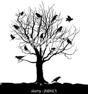 Arbre d'hiver avec des oiseaux sur branche silhouette vector illustration Banque D'Images