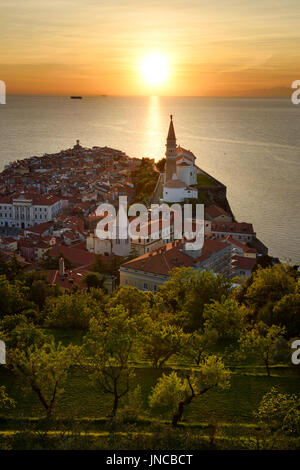 Coucher de soleil sur la mer Adriatique avec arbres à flanc de mur de la ville ci-dessous de Piran Slovénie avec l'Hôtel de Ville, St Clement, St François, St George's churches Banque D'Images