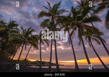 Lever du soleil à Punalu'u plage de sable noir, Ka'u district, Île d'Hawaï. Banque D'Images