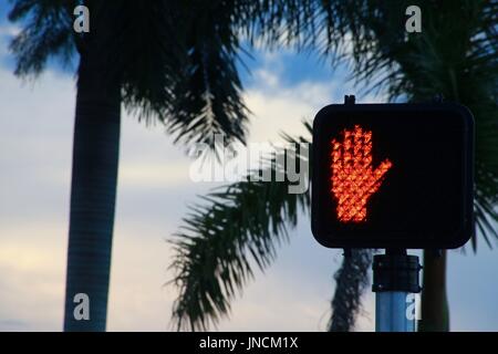 Rouge lumineux ne Marchez main Symbole du signal à l'Intersection au crépuscule contre Palmiers Banque D'Images