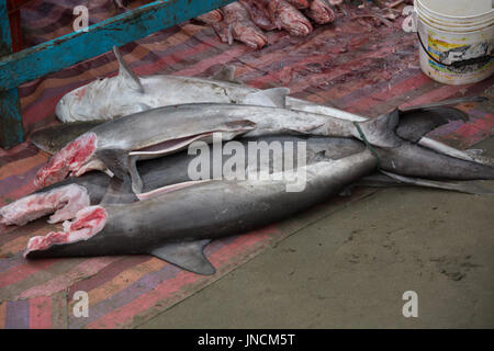 Marché de pêche à Puerto Lopez, Équateur Banque D'Images