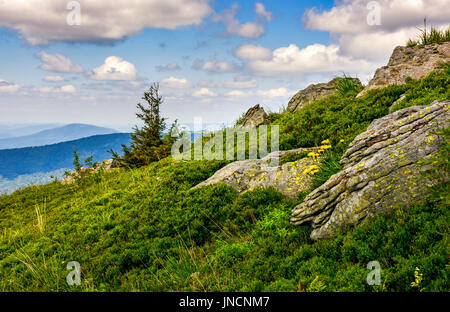 Sapin solitaire parmi les gros rochers sur pente gazonnée. bel vewpoint avec hill et le pic dans la distance. joli paysage de montagne avec ciel bleu et clou Banque D'Images