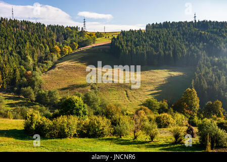 Au début de l'automne paysage de montagne. pré vert près de la forêt sur la colline à Carpates Banque D'Images