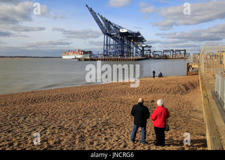 Les gens regardent l'arrivée de la ligne maritime Cosco container ship, port de Felixstowe, Suffolk, Angleterre, RU Banque D'Images