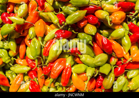 Beaucoup de piment Habanero au marché en Martinique Banque D'Images