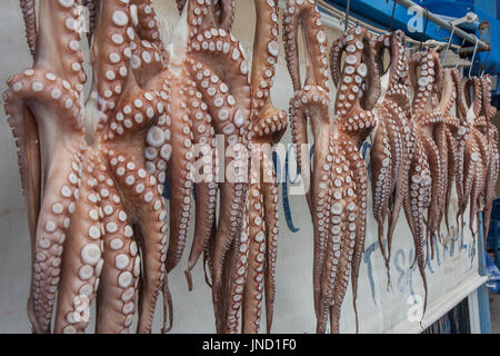 Le Pirée, Grèce-Avril 04, 2015 : les fruits de mer fraîchement pêchés. octopus accroché à l'extérieur du restaurant. Banque D'Images