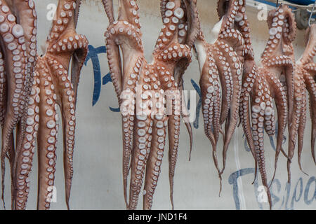 Le Pirée, Grèce-Avril 04, 2015 : les fruits de mer fraîchement pêchés. octopus accroché à l'extérieur du restaurant. Banque D'Images