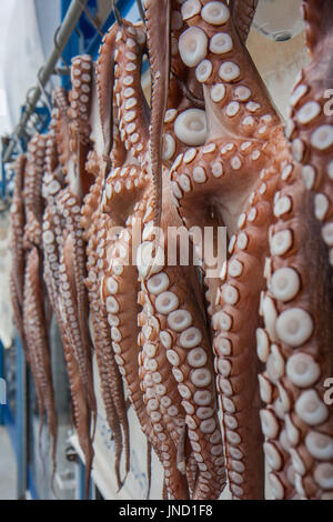 Le Pirée, Grèce-Avril 04, 2015 : les fruits de mer fraîchement pêchés. octopus accroché à l'extérieur du restaurant. Banque D'Images