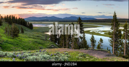 Image panoramique de coucher de soleil dans la Hayden Valley reflète dans la rivière Yellowstone dans le Parc National de Yellowstone, Wyoming. Banque D'Images