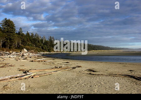 Longue plage déserte près de Tofino dans la Réserve de parc national Pacific Rim sur l'île de Vancouver, Colombie-Britannique Banque D'Images