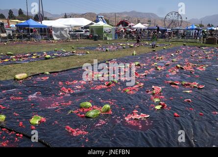 Los Angeles, Californie, USA. 4 janvier, 2017. La pastèque cassée lors de la 55e Festival annuel de pastèque de la Californie à Los Angeles, samedi, 29 juillet, 2017. Ringo : crédit Chiu/ZUMA/Alamy Fil Live News Banque D'Images