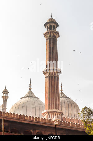 Jama Masjid à Delhi, Inde Banque D'Images