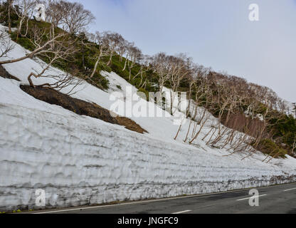 Kamaishi Aspite Line à l'été sur le mont Iwate dans Tohoku, Japon. Kamaishi est l'une des meilleures routes du pays pour une promenade en voiture. Banque D'Images