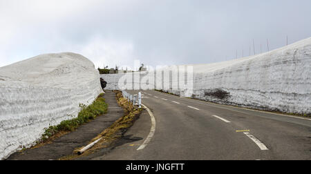 Kamaishi Ligne Aspite sur le mont Iwate à jour brumeux à Tohoku, Japon. Kamaishi est l'une des meilleures routes du pays pour une promenade en voiture. Banque D'Images