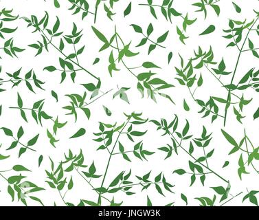 Modèle sans feuille de vigne différentes branches naturelles feuillage vert feuilles, rameaux silhouette style aquarelle. Forêt luxuriante vecteur beauti décoratif Illustration de Vecteur