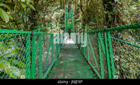 Green pont suspendu en forêt tropicale de Monteverde Banque D'Images