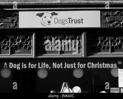 Fiducie de bienfaisance Animaux chien boutique avec un chien, c'est pour la vie pas seulement pour Noël message Banque D'Images