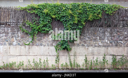 Fragment du mur de la ville est faite de blocs de béton, pierres de granit et d'acier caillebotis. Raisins sauvages et les mauvaises herbes pousser sur des pierres. Vue panoramique à partir de collage Banque D'Images