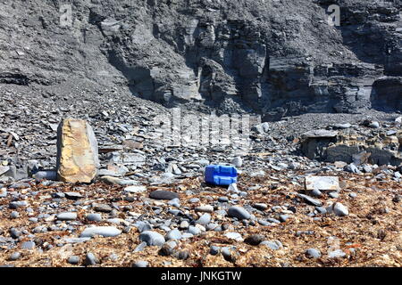 Récipient en plastique au milieu d'algues et de varech échoué sur schiste beach dans le Dorset UK Banque D'Images