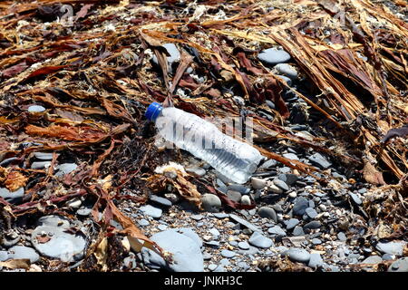 Récipient en plastique au milieu d'algues et de varech échoué sur schiste beach dans le Dorset UK Banque D'Images